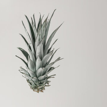 Pineapple leaves on bright background. Minimal greenery concept.
