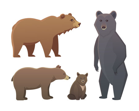 Collection with different cartoon bears isolated on white background. Vector broun and black american bear. Set Wildlife or zoo grizzly.