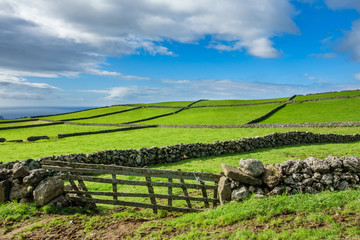 Fototapeta na wymiar Farm fields in the Terceira island in Azores