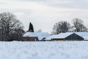 Dutch farmland with farm covered in snow. Geesteren. Achterhoek. Gelderland. The Netherlands.