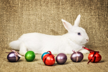 White clean beautiful Easter bunny next to a wicker basket with eggs in the background krashenyymi...