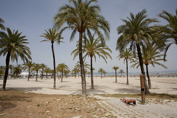 beach of majorca