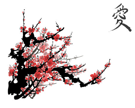 Realistic sakura blossom - Japanese cherry tree isolated on white background