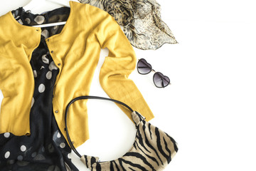 Fashionable women clothes on white background