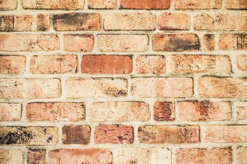 Background of brick wall texture