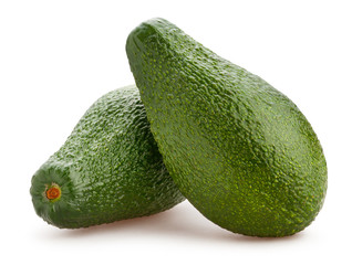 avocado © bergamont