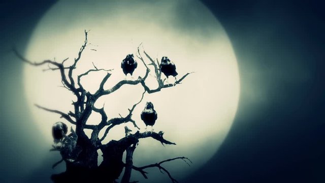 Black Ravens Seating on a Dead Tree on a Full Moon Night