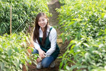 young asian woman working in green house