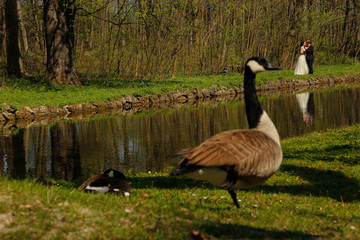 Groom and bride in nature