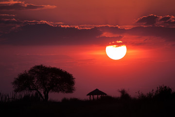 Afrikanischer Sonnenuntergang