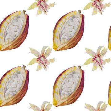 Watercolor Seamless Pattern Cacao Fruit And Flower