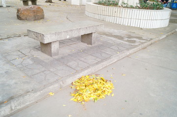 A bunch of fallen leaves and stone benches in the park.