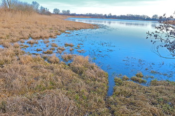 ETANG DANS LA DOMBES 1