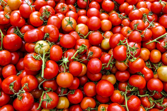 Tomatoes on market, Austria, Vienna, 5. district, Naschmarkt