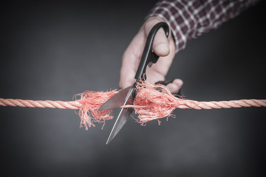 รูปภาพZerschnitten – เลือกดูภาพถ่ายสต็อก เวกเตอร์ และวิดีโอ854 | Adobe ...