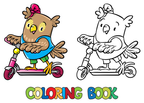 Coloring book of little funny owl on the scooter