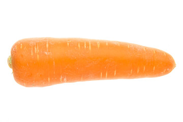 fat fresh carrot