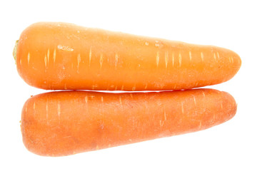 pair fat carrots
