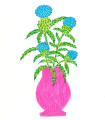 Hand drawn multicolor illustration with nature theme (ornamental blue thistles in a vase). Color illustration on white background - scan