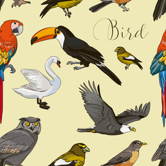 Fototapeta premium Bird collection pattern