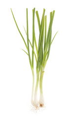 pair green onions