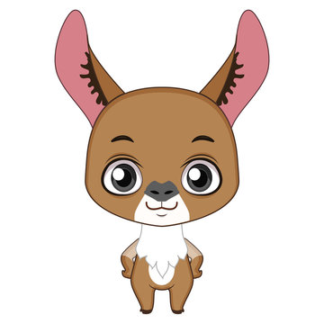 Cute stylized cartoon vicugna illustration ( for fun educational purposes, illustrations etc. )