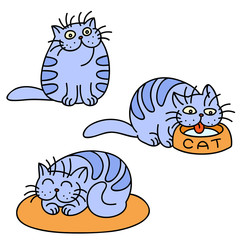 cartoon fat cat emoticons set. vector illustration.