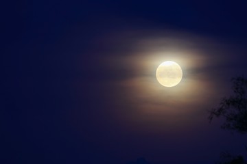 Naklejka na ściany i meble Full moon beautiful over dark sky at have tree shadow in night