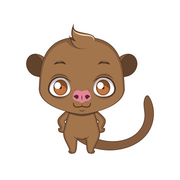 Cute stylized cartoon olingo illustration ( for fun educational purposes, illustrations etc. )