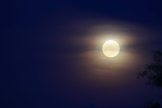 Full moon beautiful over dark  sky at have  tree shadow in night