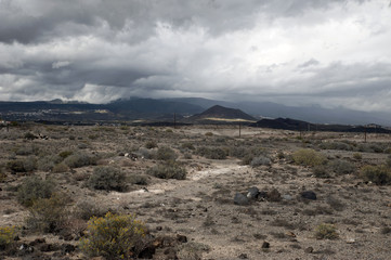 Path through the endemic flora with dramatic, stormy sky in south of Tenerife, Canary Islands