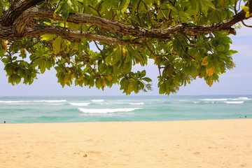 Tropical beach, selective focus