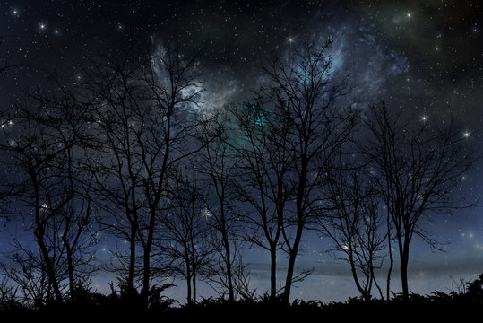 night stars sky