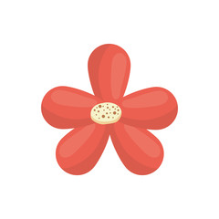Beautiful flower ornament icon vector illustration graphic design