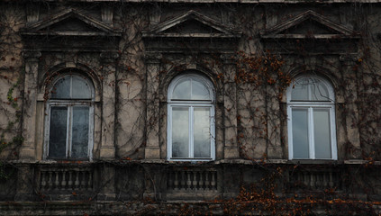 Fototapeta na wymiar Glass window in the facade of an old house shrouded in dry ivy