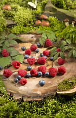 raspberry stump forest blueberries delicious beautiful fern moss grass green basket © eddystocker