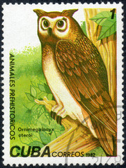 UKRAINE - CIRCA 2017: A stamp printed in Cuba, shows a extinct bird Ornimegalonyx oteroi, the series Prehistoric animals, circa 1982