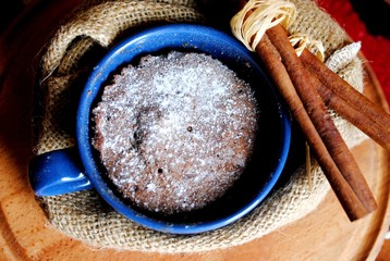 chocolate cake in a cup from the microwave