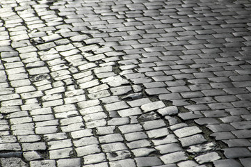 Desolate stone pavement, Ukraine, Western Ukraine, Lviv