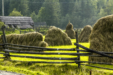 Ukrainian Carpathian Mountains near mountain Goverla, Ukraine, C