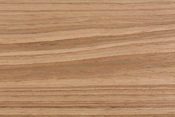 Fototapeta premium Walnut wood background texture on macro.
