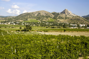 Crimea, Dacne, settlement, Ukraine