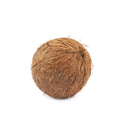 Single whole coconut isolated
