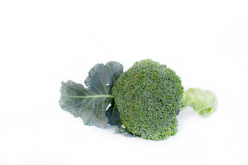 isoleted beautiful fresh Broccoli