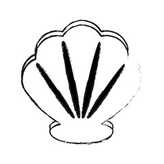 sea shell icon image vector illustration design 