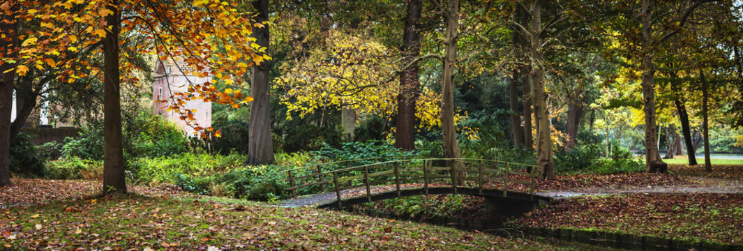 Autumn colors in a park