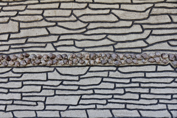 Wall lined with shells, background textured 