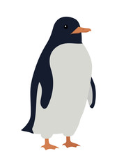 Penguins Isolated. Aquatic, Flightless Bird