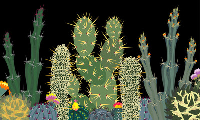 Obrazy  Kolekcja Simple Cactus na czarnym tle