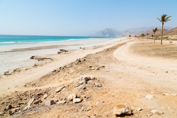 in oman arabic sea palm   the hill near sandy beach sky and mountain